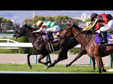 2023/4/9 桜花賞 現地 最終直線