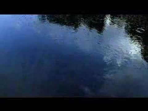 Opening of The New World