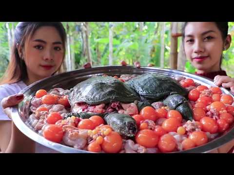 Yummy cooking turtle soup with egg recipe - brand nature