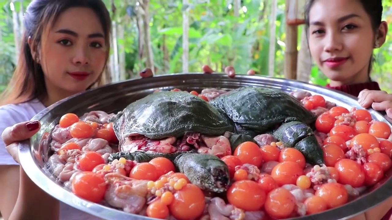Yummy cooking turtle soup with egg recipe - brand nature