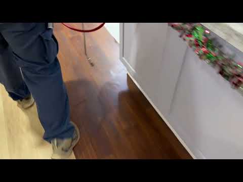 Treating for General Pests in Monmouth Beach, NJ