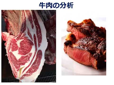 【フィールド科学コース】活動紹介（希少家畜を守り、SDGsに貢献①）