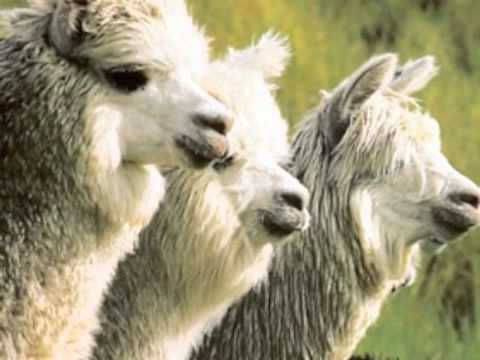 Moritz Piske - Warm Places (OPSM Rec)