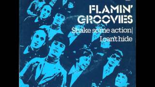 Flamin&#39; Groovies - I Can&#39;t Hide