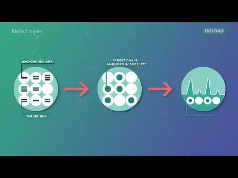 An introduction to Droplet Digital PCR