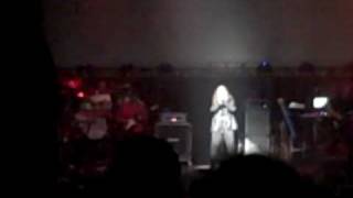 Weird Al Let Me Be Your Hog Live