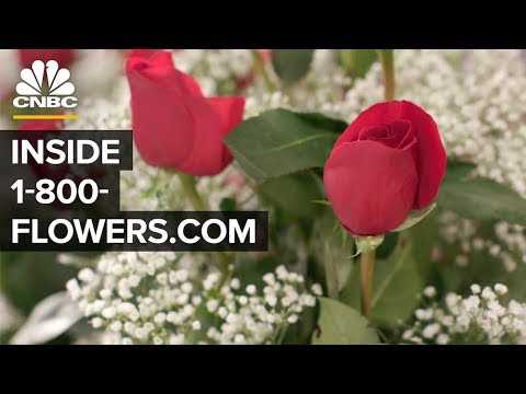 download lagu mp3 mp4 Two Flowers Shop, download lagu Two Flowers Shop gratis, unduh video klip Two Flowers Shop