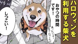 本の数、窓のカーテン(?)の模様、両方のダルメシアンにハート型の模様がある、水飲み容器の柄、ソファのシーツの柄か - ハロウィンなのを良いことにおやつの時間増やす柴犬【アニメ】【漫画】