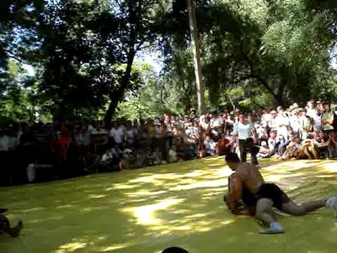 Чадыр-Лунга, вольная борьба, день города