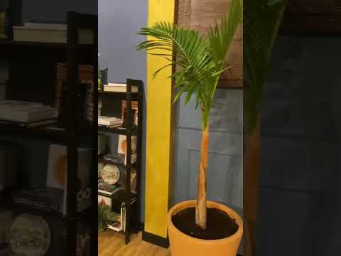 ESPACIO GASTRONOMICO