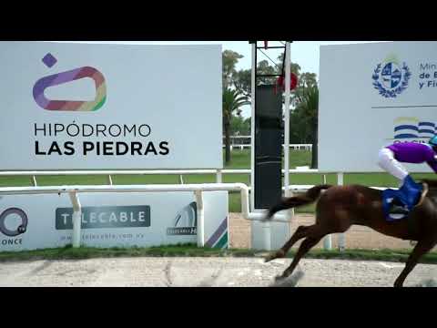 220121 c01 - VDARA (BRZ) - HIPODROMO LAS PIEDRAS