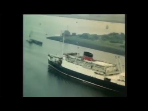 [free] killedmyself x 9tails type beat "solitary"