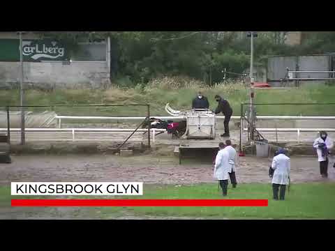 Kingsbrook Glyn - Watch Swindon Dogs On Sky Sports Racing Stayers   Heat 2