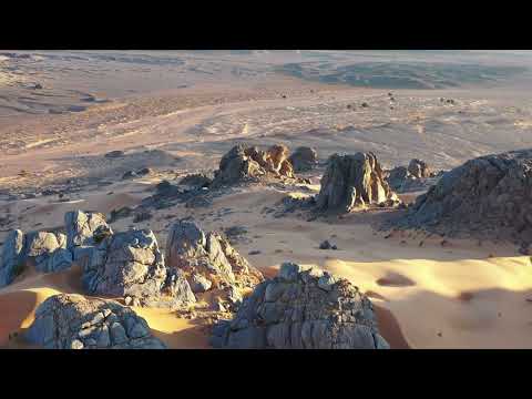 False Intentions - Images