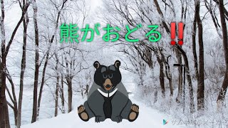 熊が踊ります！！！