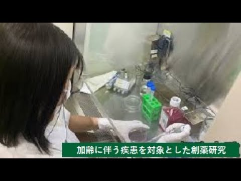【理工学部】加齢に伴う疾患を対象とした創薬研究