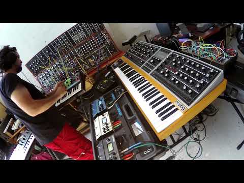 Moog One, Grandmother, System 55 and Digitakt - First tune