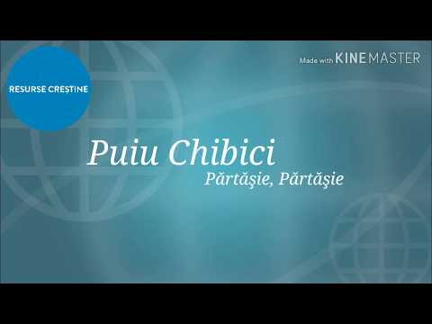 Puiu Chibici - Părtăşie, Părtăşie