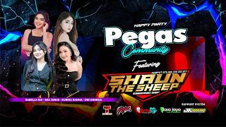 Download lagu LIVE SHAUN THE SHEEP - HAPPY PARTY PEGAS COMMUNITY - PRIVATE | COUNSTITY AUDIO mp3