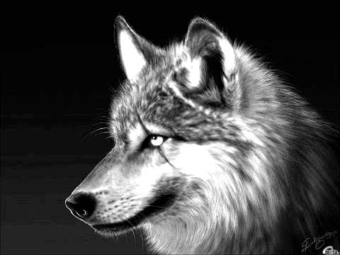 Jean Roch - Name Of Love Feat. Pitbull & Nayer (CDQ) ♫