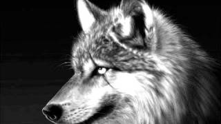 Jean Roch - Name Of Love Feat. Pitbull &amp; Nayer (CDQ) ♫