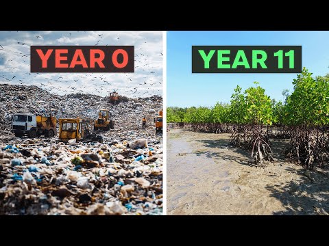 Your Monthly Dose of Good News | March