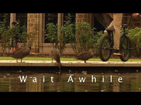 WAIT AWHILE TRAILER/INTRO