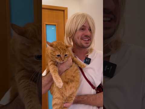 A família que tem animal em casa