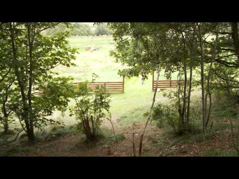 FODBOLDGOLF - BOLD FOR ALLE Klik og se selv