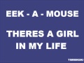 Eek-A-Mouse - Theres A Girl In My Life