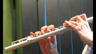 Video thumbnail for Yamaha 281 Used Flute - Demo of Low to Mid Range by Flutastic!
