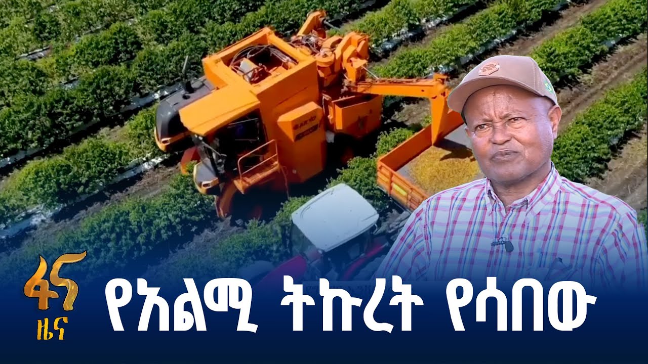 የግብርና ኢንቨስትመንት ልማት