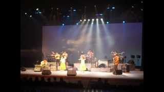 風になりたい　(hawaiian cover)