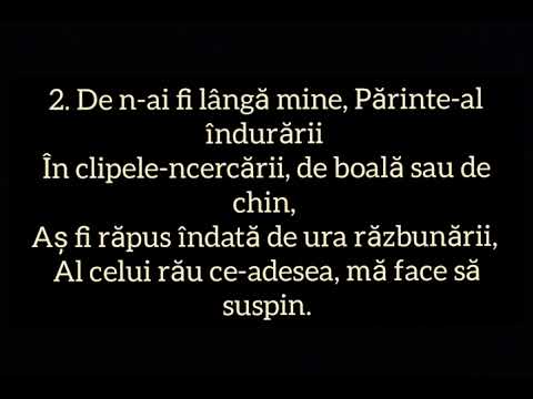 ~Surorile Solovastru - Aș fi pierdut Părinte..(cu Versuri)
