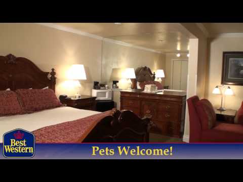 Best Western Executive Inn - Midvale Utah