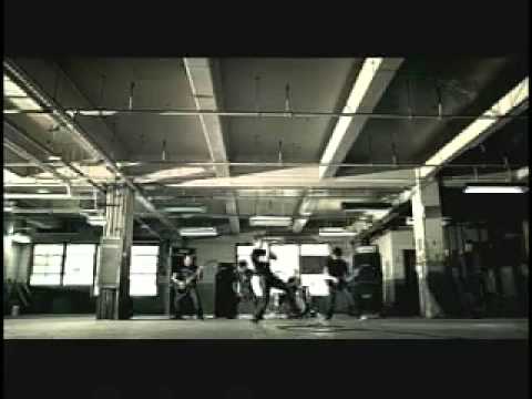 Sinai Beach - Necessary Bloodshed