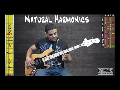 Natural Harmonics Bass tutorial
