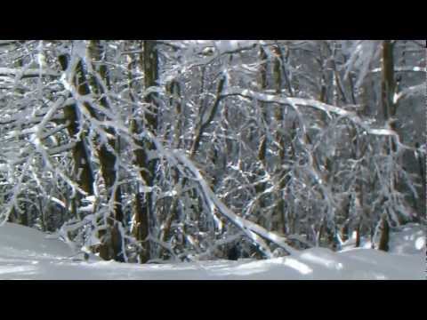 S. Michele  -  Calvanico(SA)