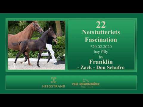 22 Netstutteriets Fascination by Franklin - Zack - Don Schufro