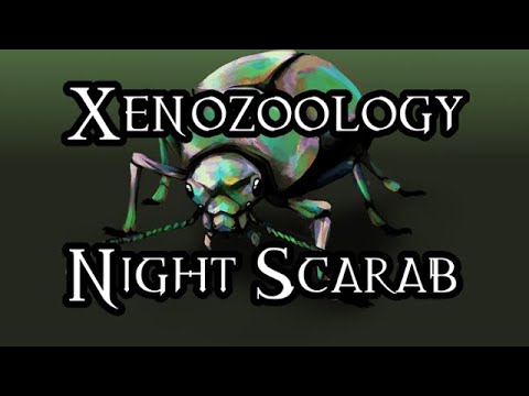 Xenozoology: Night Scarab - 40K Theories