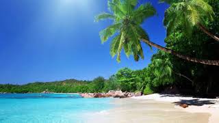 The Rasmus - If You Ever Ending extended