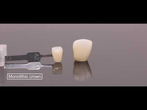 Denture by Bloomden 3D Pro Multilayer Zirconia