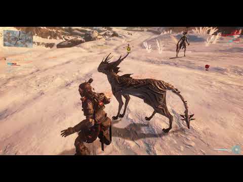 Warframe 2019 first bug after update(dojo drydock)