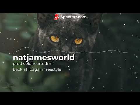 natjamesworld - back at it again freestyle - prod , coldheartedmf