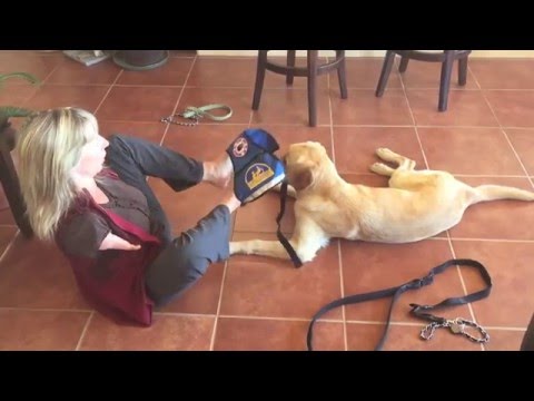 Sabine Becker and her Service Dog Balter