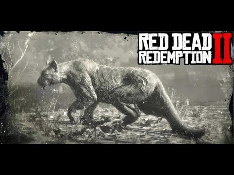 RDR 2 Den Panther super schnell finden und erledigen | Florida-Panther