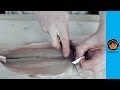 How to fillet and skin a trout the right way 