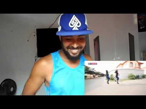 BRASILEIRO REAGE A JÉSSICA PITBULL BATE TORTO (DEU RUIM PRO CURIOSO)