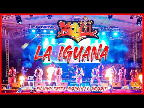 La Iguana 🦎 - Banda Movil - 43 Aniversario - Chapalilla, Nayarit 🇲🇽 || EN VIVO