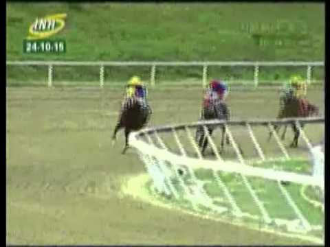 LA RINCONADA 8 CARRERA, SABADO 24 DE OCTUBRE DEL 2015